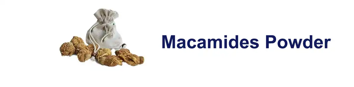 Macamides Saler.jpg